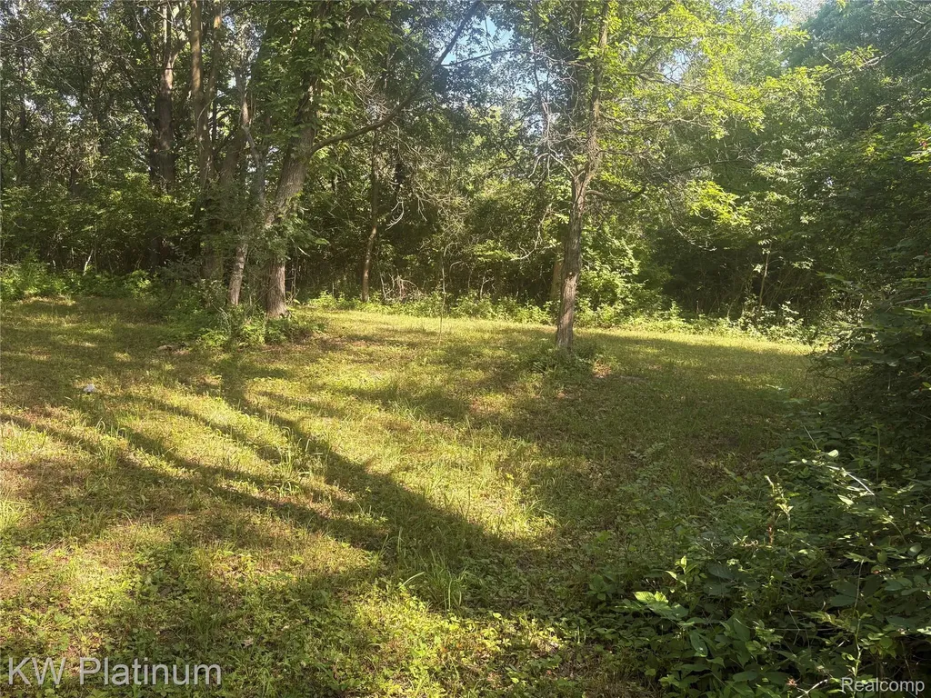 7280 North Road Burtchville Township MI 48059
