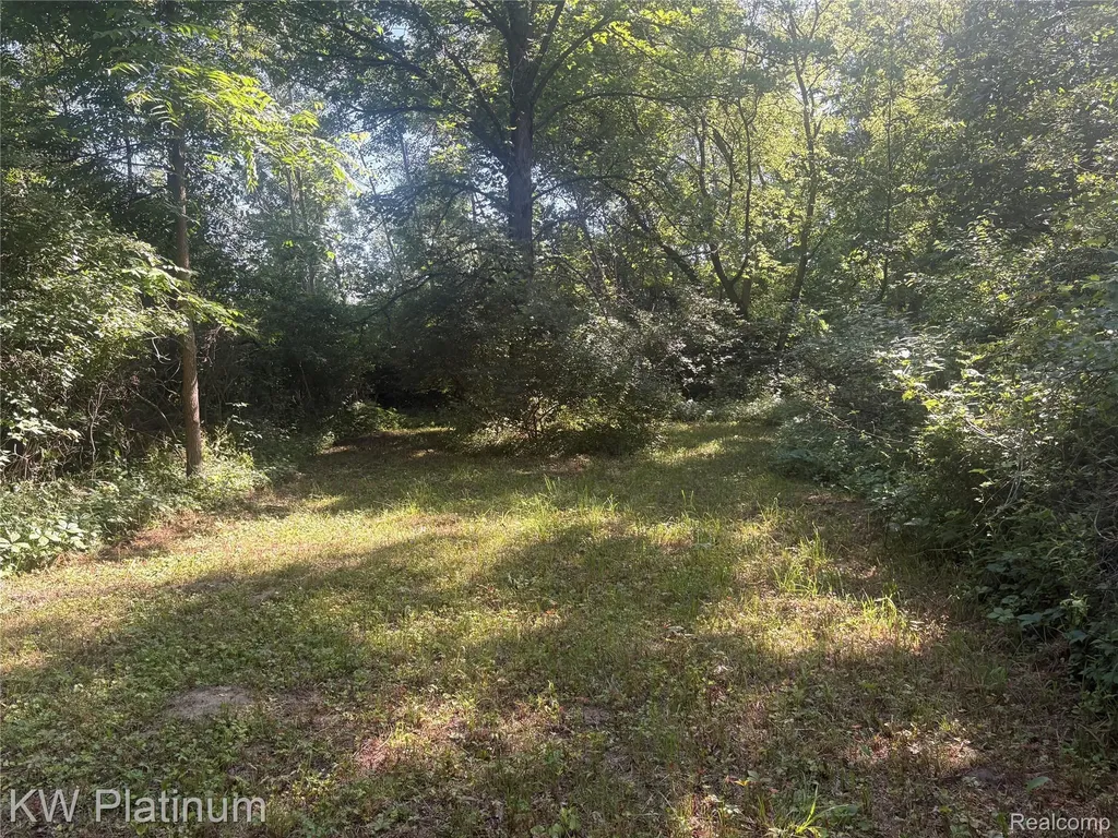 7280 North Road Burtchville Township MI 48059