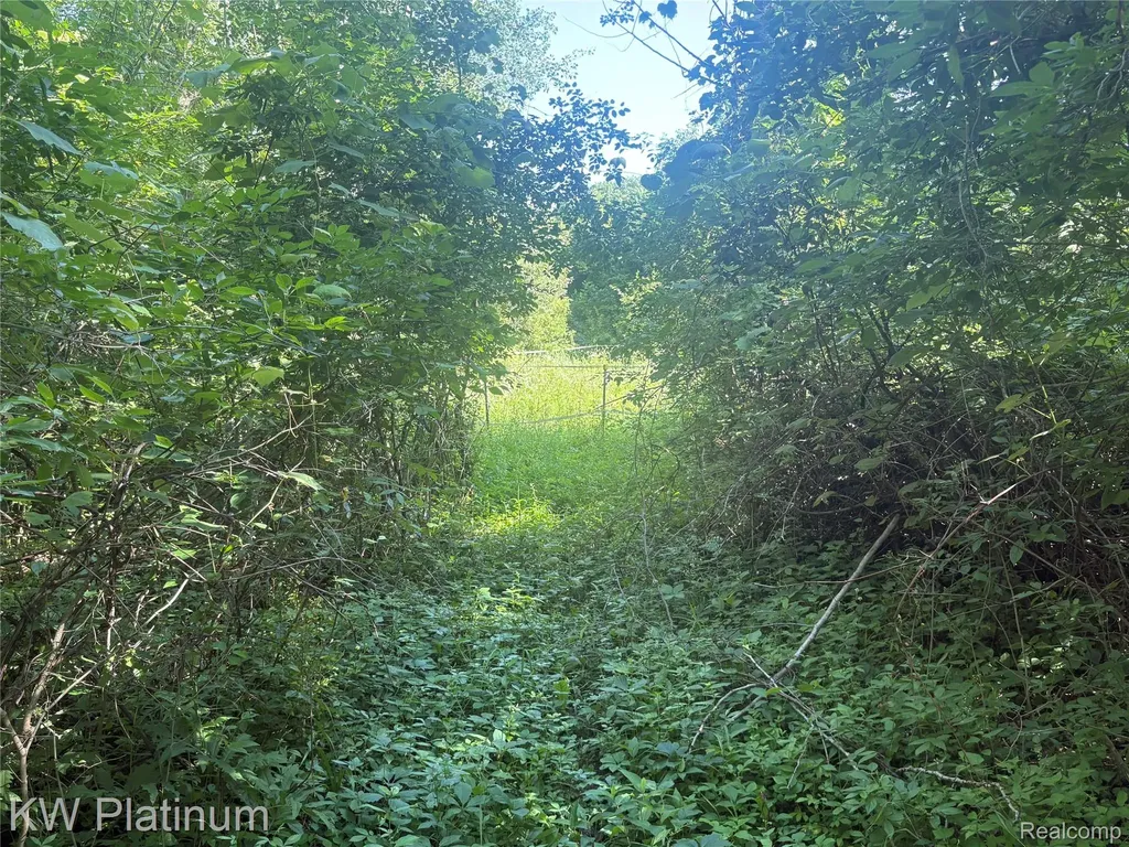 7280 North Road Burtchville Township MI 48059