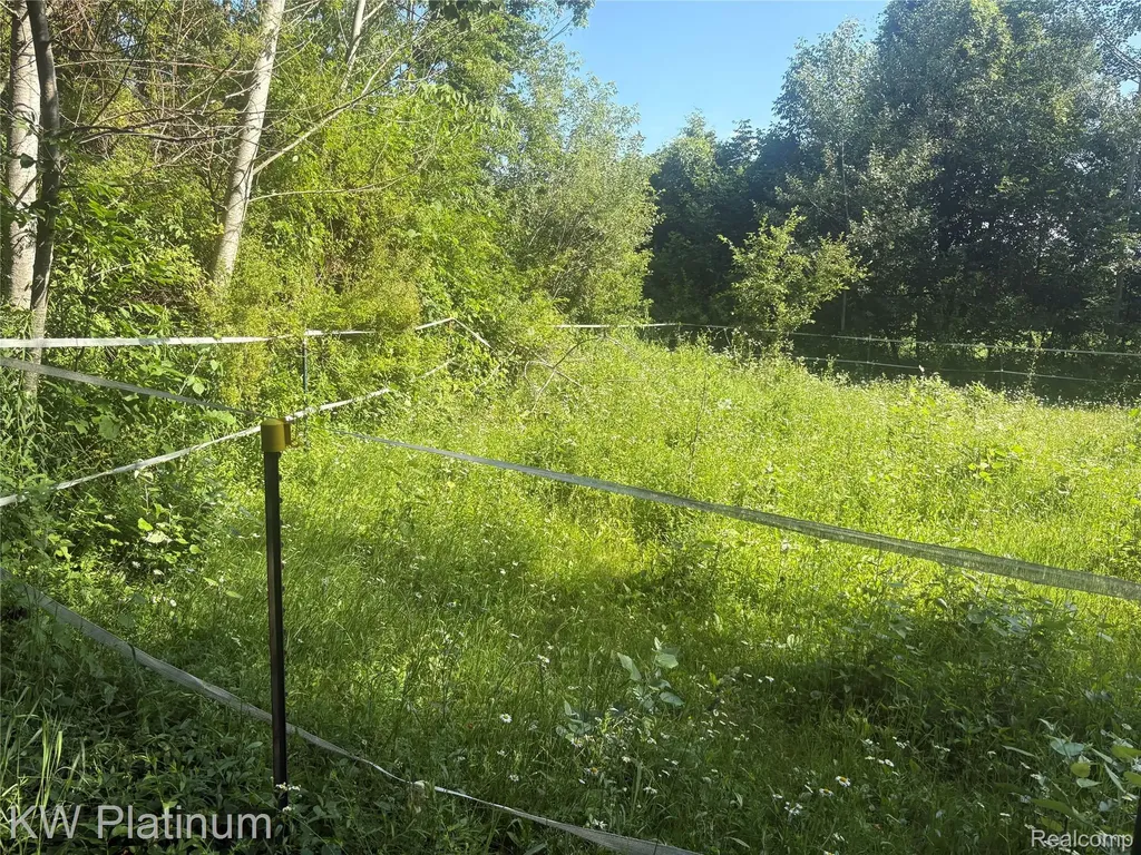 7280 North Road Burtchville Township MI 48059