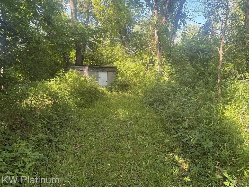7280 North Road Burtchville Township MI 48059