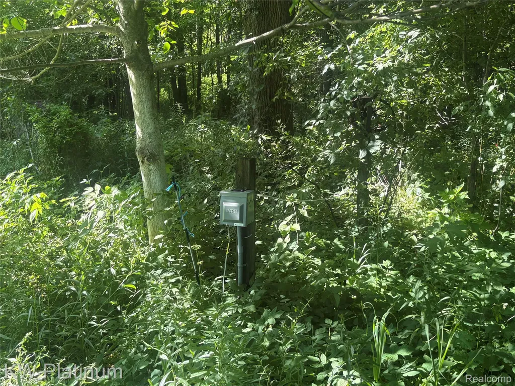 7280 North Road Burtchville Township MI 48059