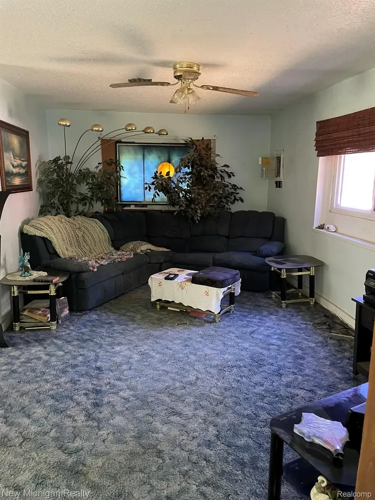 158 Norman Street Vassar City MI 48768