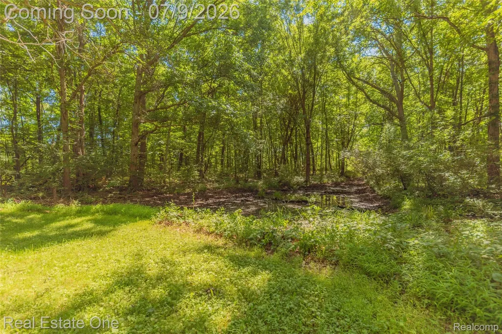 7965 Howard Street Hamburg Township MI 48189