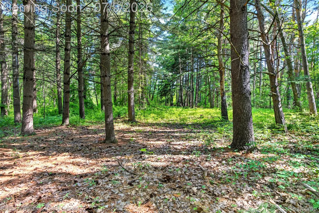 204 Russell Road Kawkawlin Township MI 48631