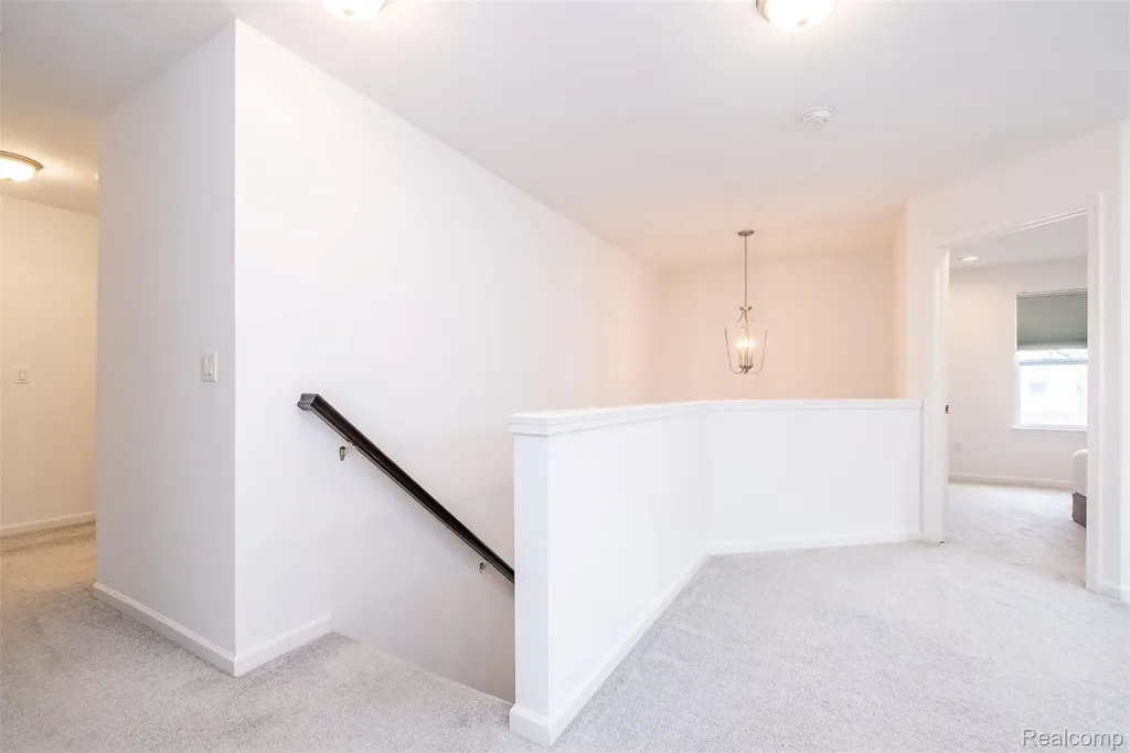 20809 Gidran Drive Lyon Charter Township MI 48178