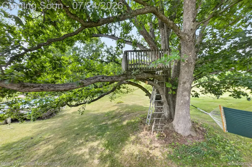 2360 White Birch Trail Marion Township MI 48843