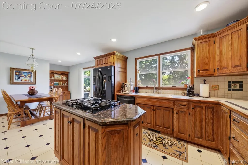 2360 White Birch Trail Marion Township MI 48843