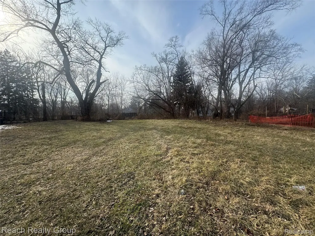 14199 Burt Road Detroit City MI 48223