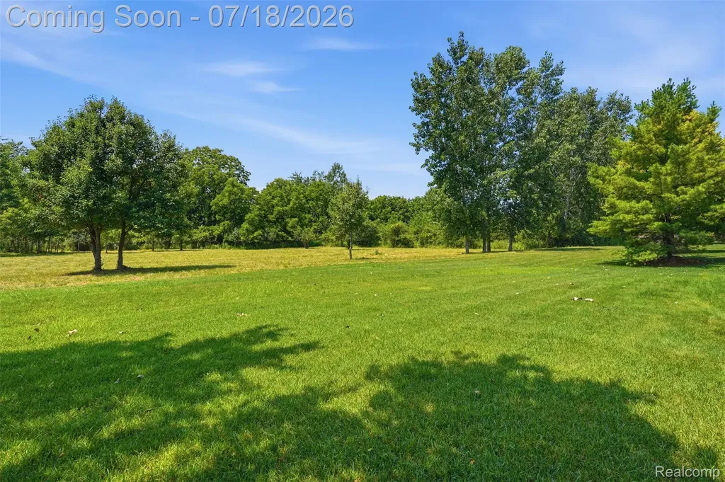 47603 Scenic Circle Drive S Canton Charter Township MI 48188