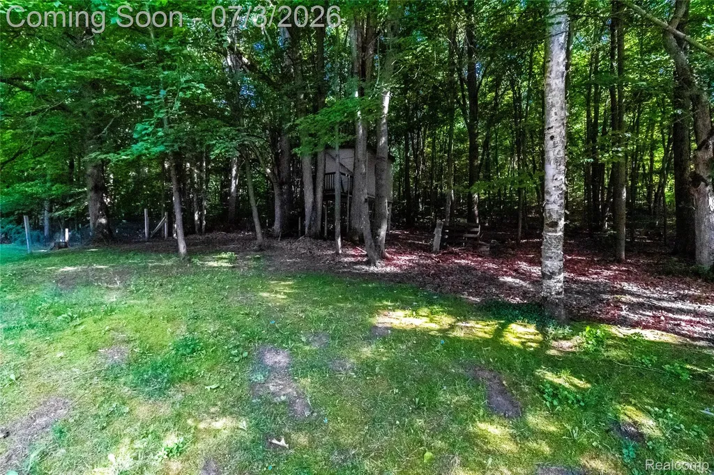 2436 Judy Conn Drive Mayfield Township MI 48446