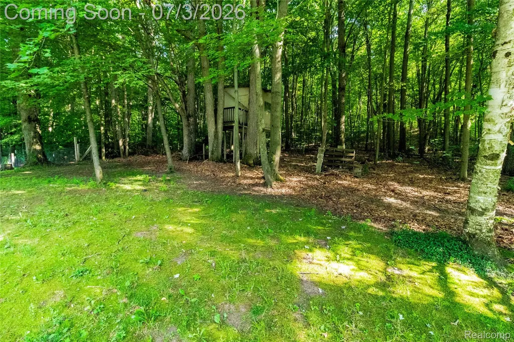 2436 Judy Conn Drive Mayfield Township MI 48446