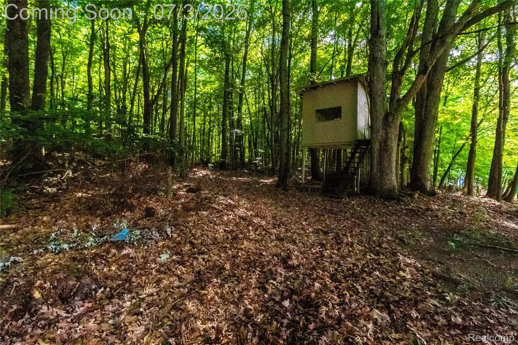 2436 Judy Conn Drive Mayfield Township MI 48446