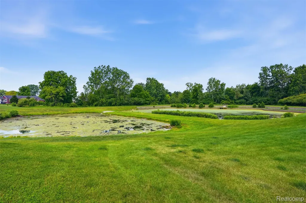 11979 Cedarbrook Drive Green Oak Township MI 48178