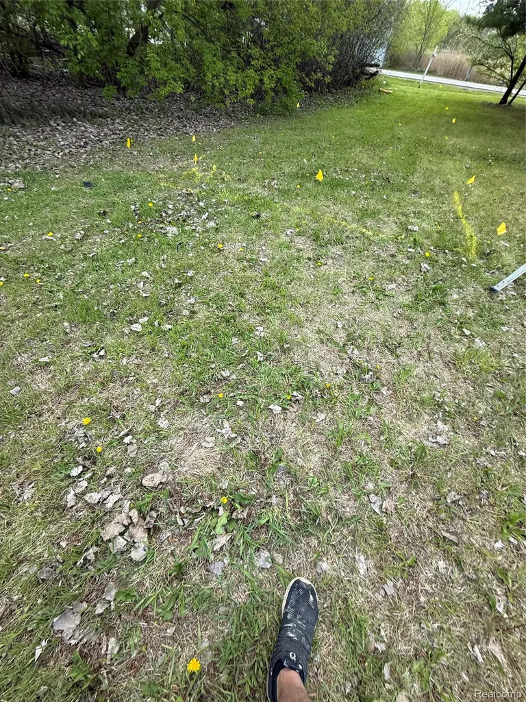 59 Lochaven Road Waterford Charter Township MI 48327