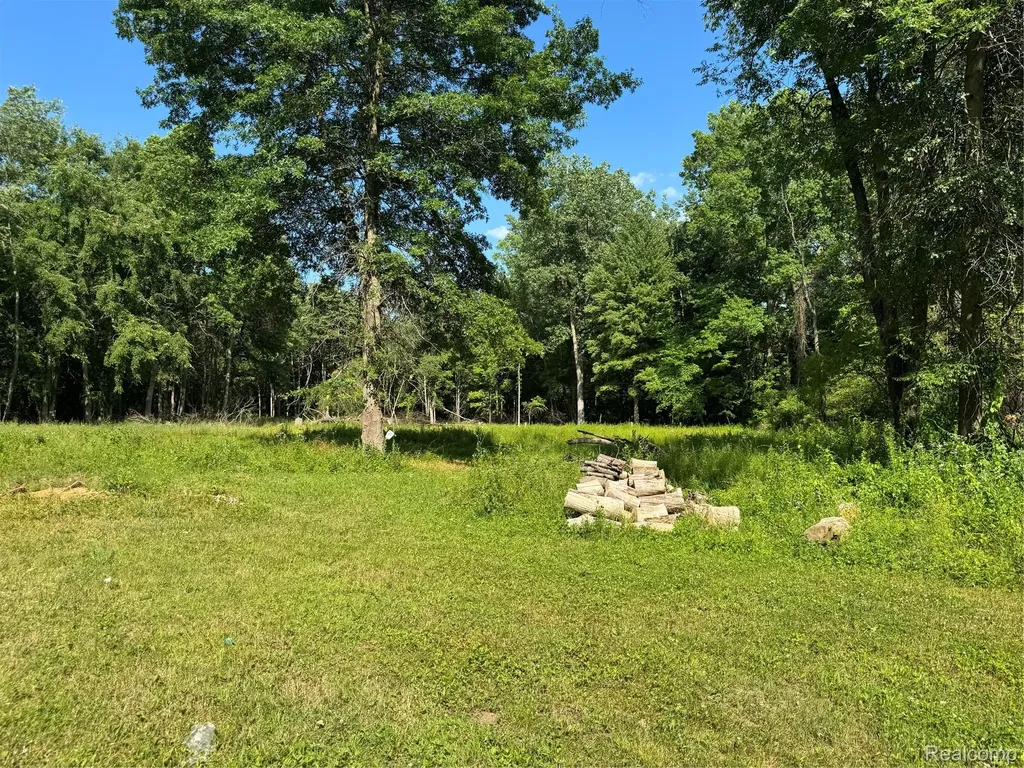 13685 Rawsonville Road Sumpter Township MI 48111