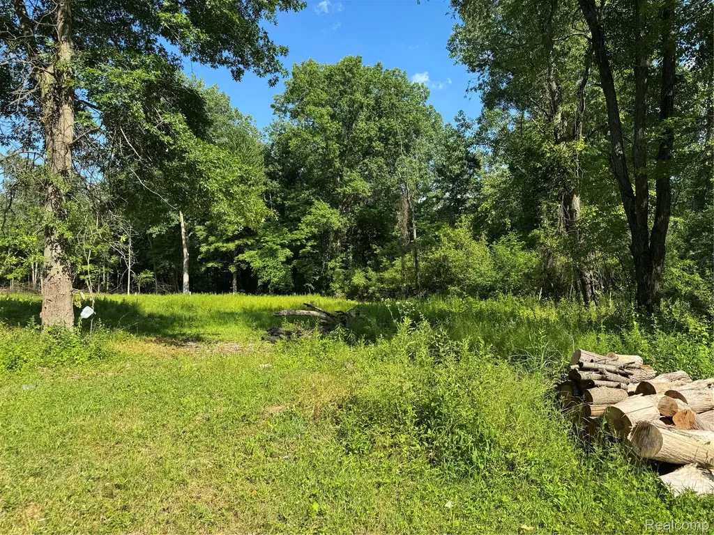 13685 Rawsonville Road Sumpter Township MI 48111