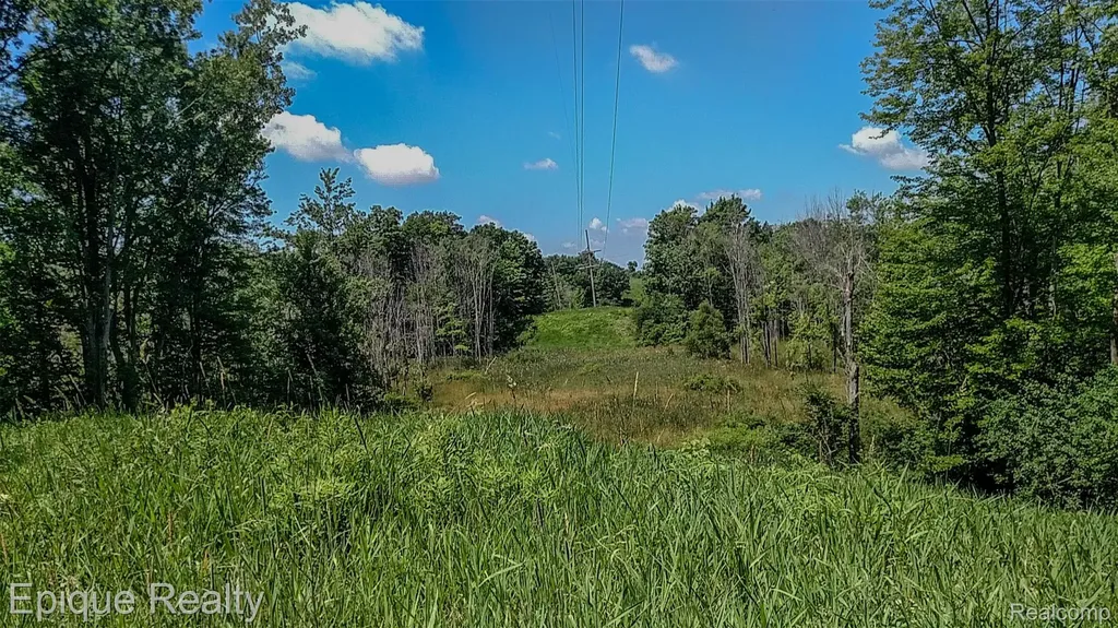 300 W Dewey Road Owosso Charter Township MI 48867