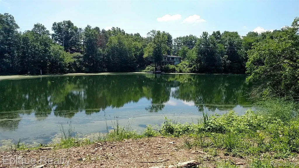 300 W Dewey Road Owosso Charter Township MI 48867