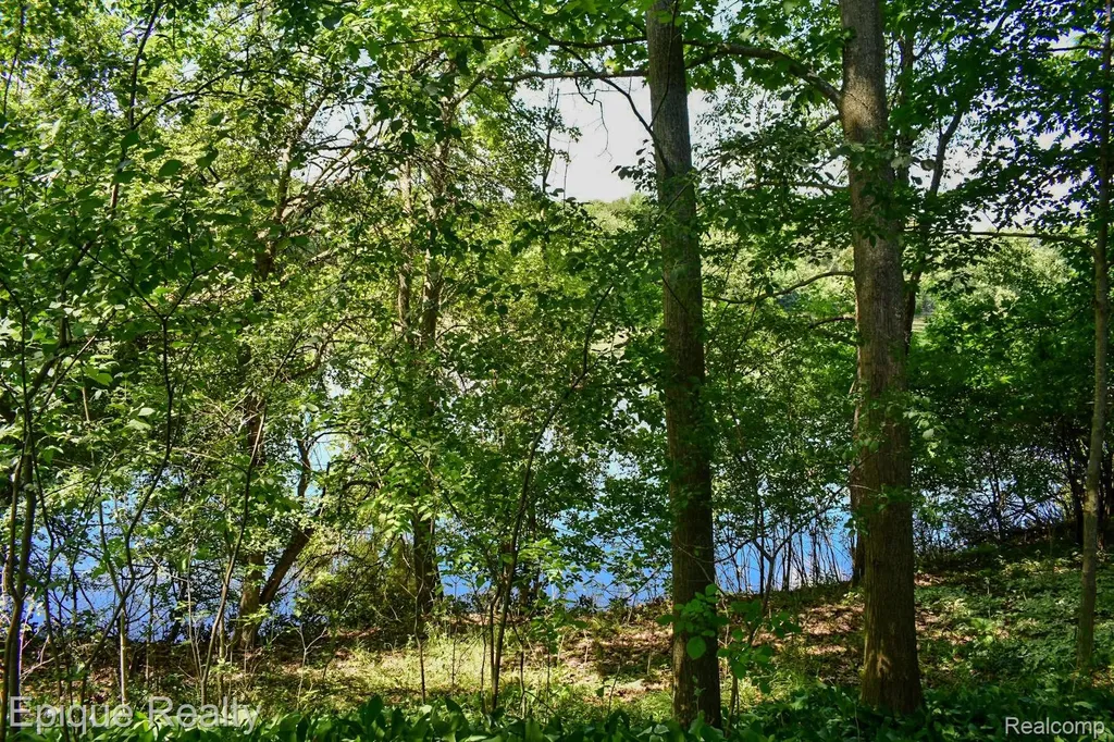 300 W Dewey Road Owosso Charter Township MI 48867