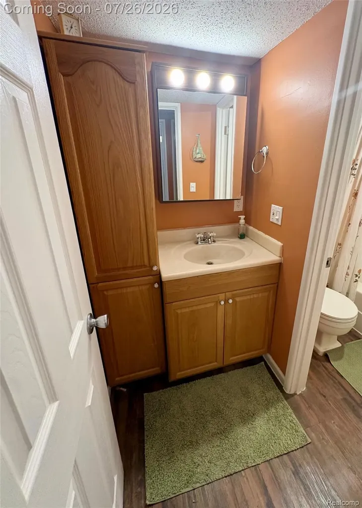 1736 Grove Road York Charter Township MI 48198
