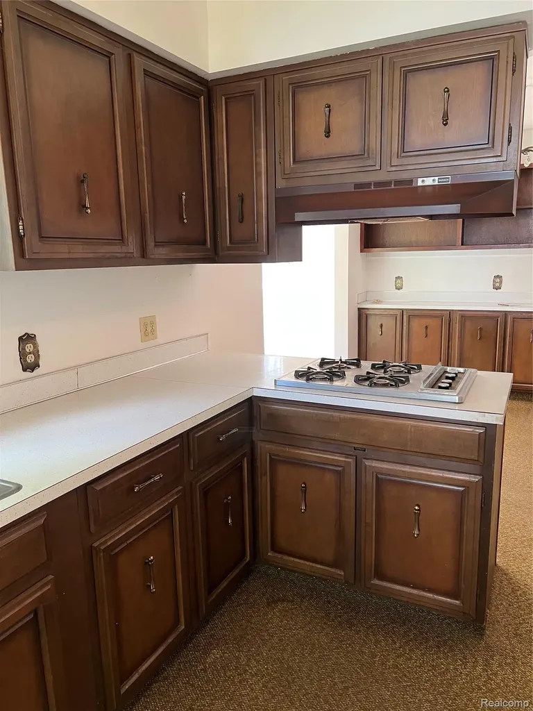 508 Cherry Street Linden City MI 48451