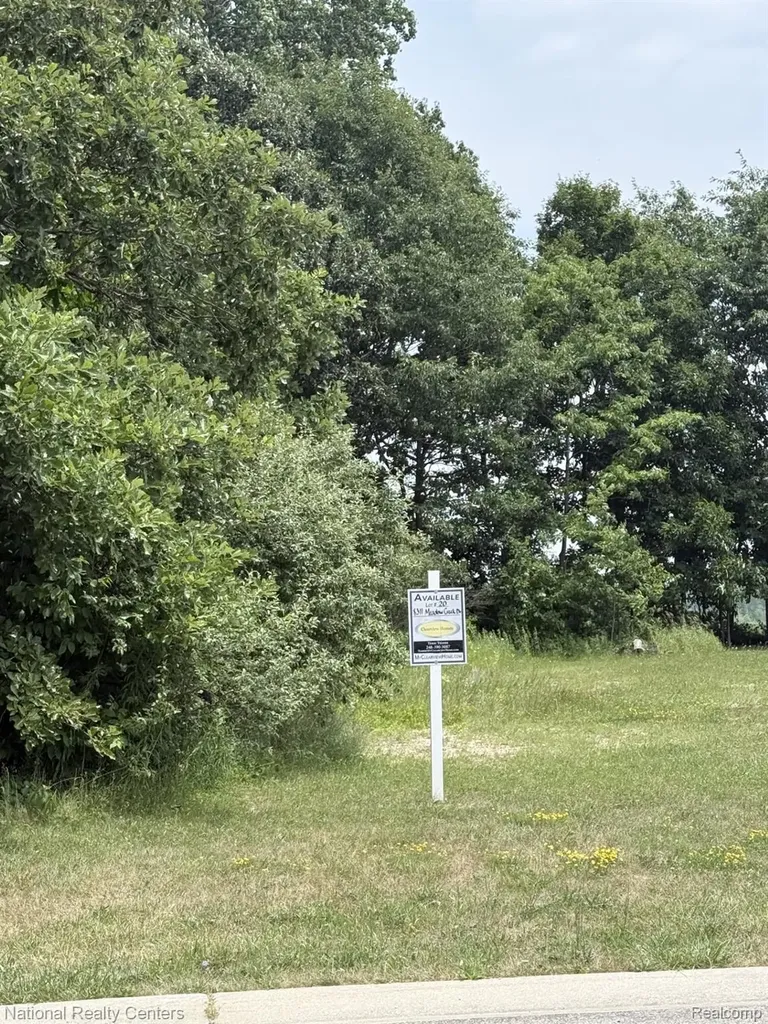 8311 Meadow Creek Drive Goodrich Village MI 48438