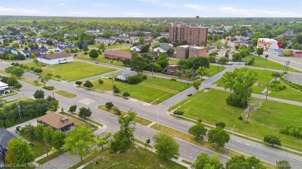 3521 Cochrane Street Detroit City MI 48208