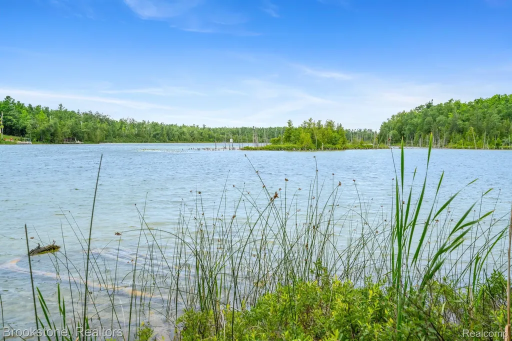 5699 S Smith Road Grant Township MI 49721