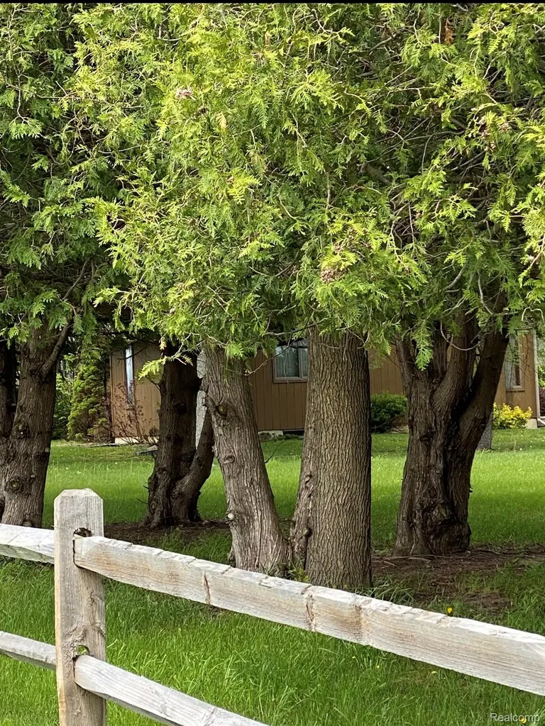 00001 Hardcastle Road Norvell Township MI 49230