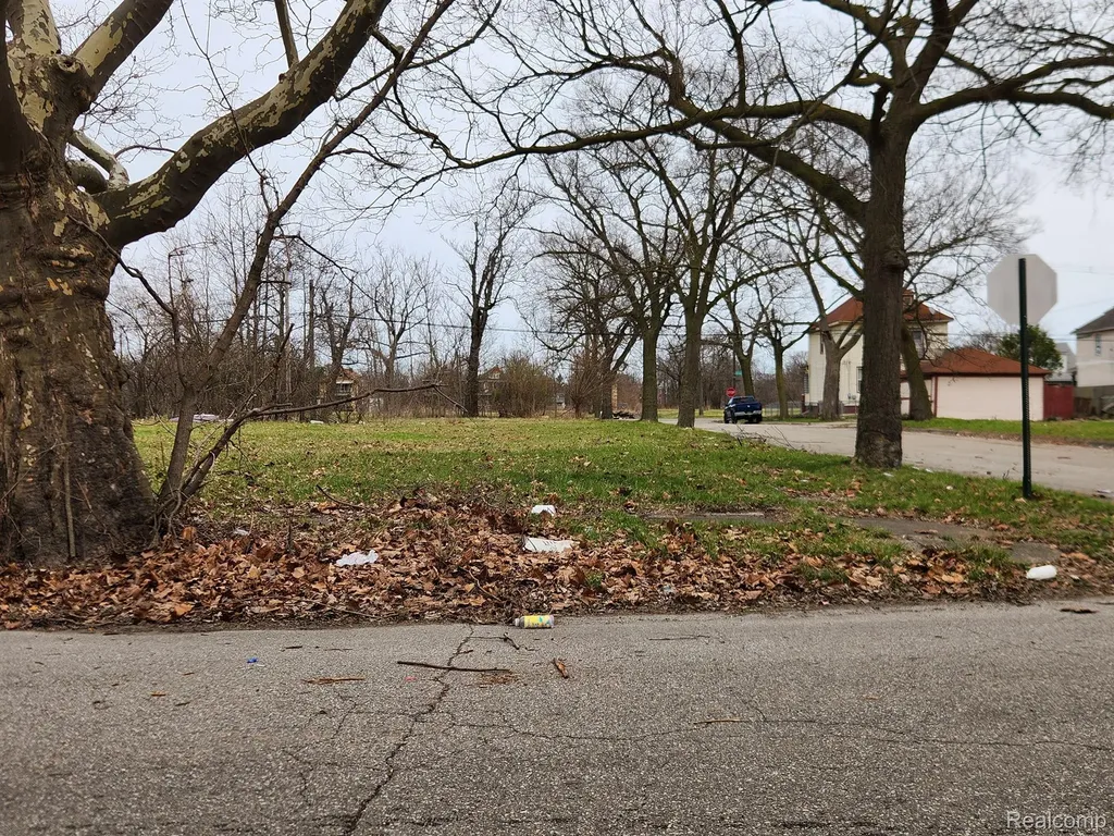 1528 Gray Street Detroit City MI 48215