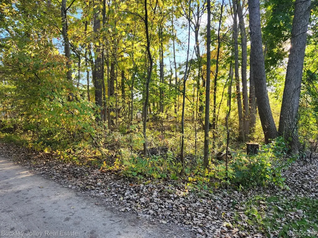 0000 Van Horn Drive Hamburg Township MI 48169