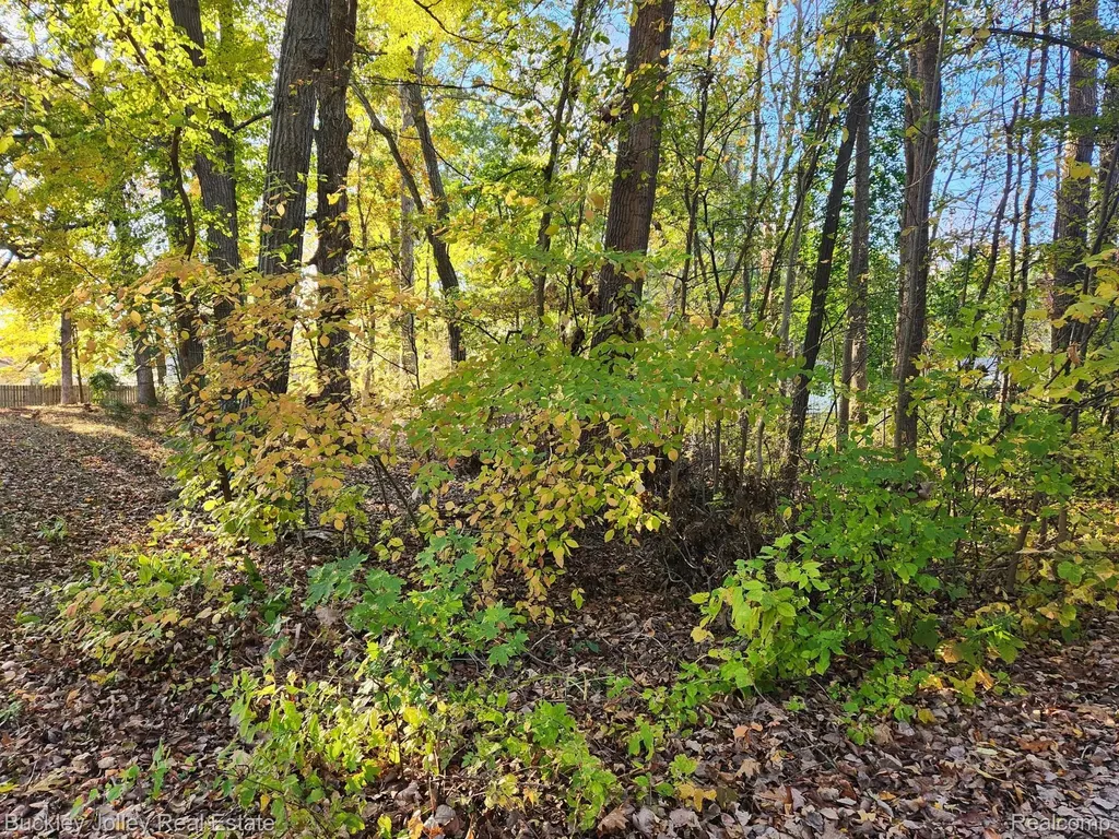 0000 Van Horn Drive Hamburg Township MI 48169