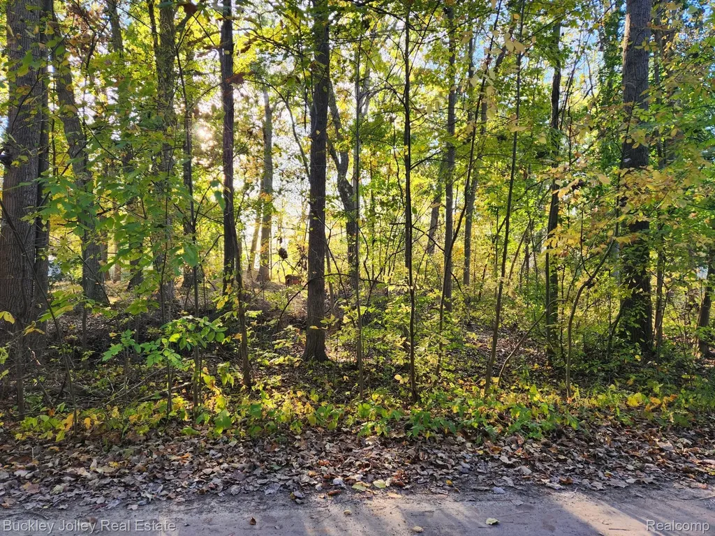 0000 Van Horn Drive Hamburg Township MI 48169