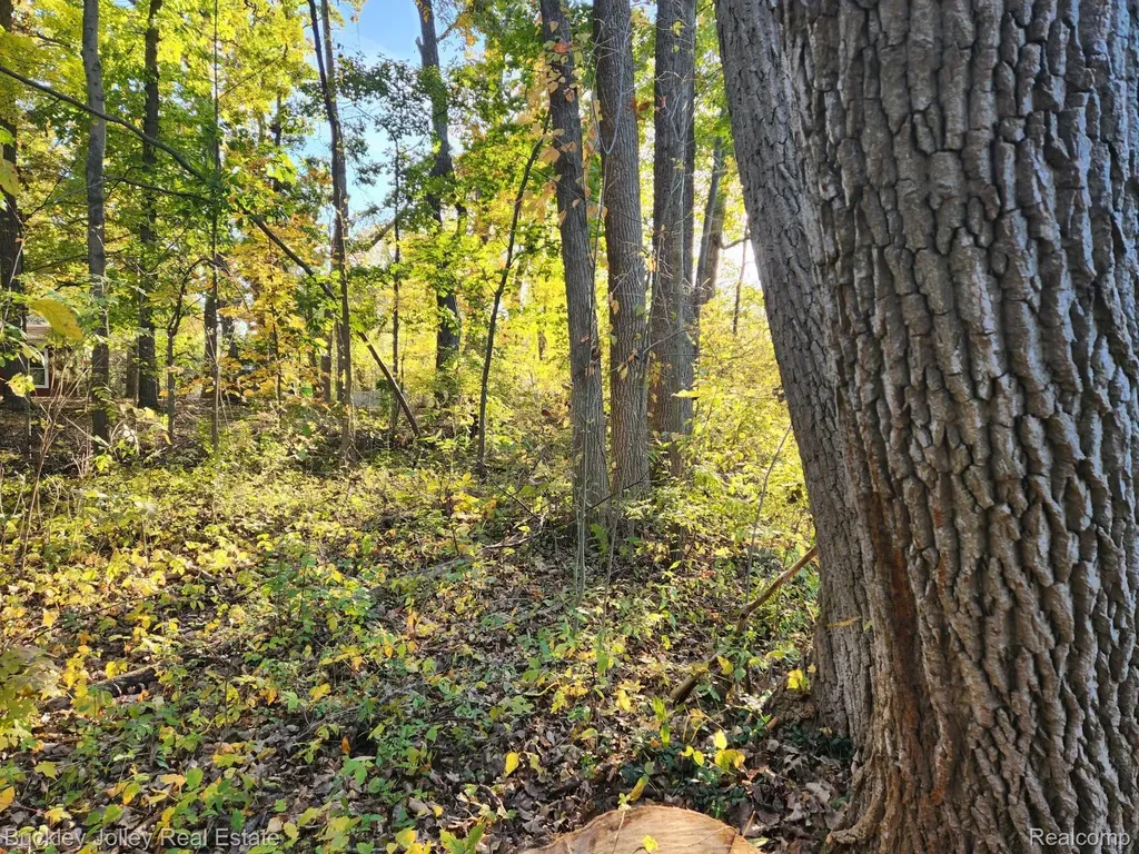 0000 Van Horn Drive Hamburg Township MI 48169