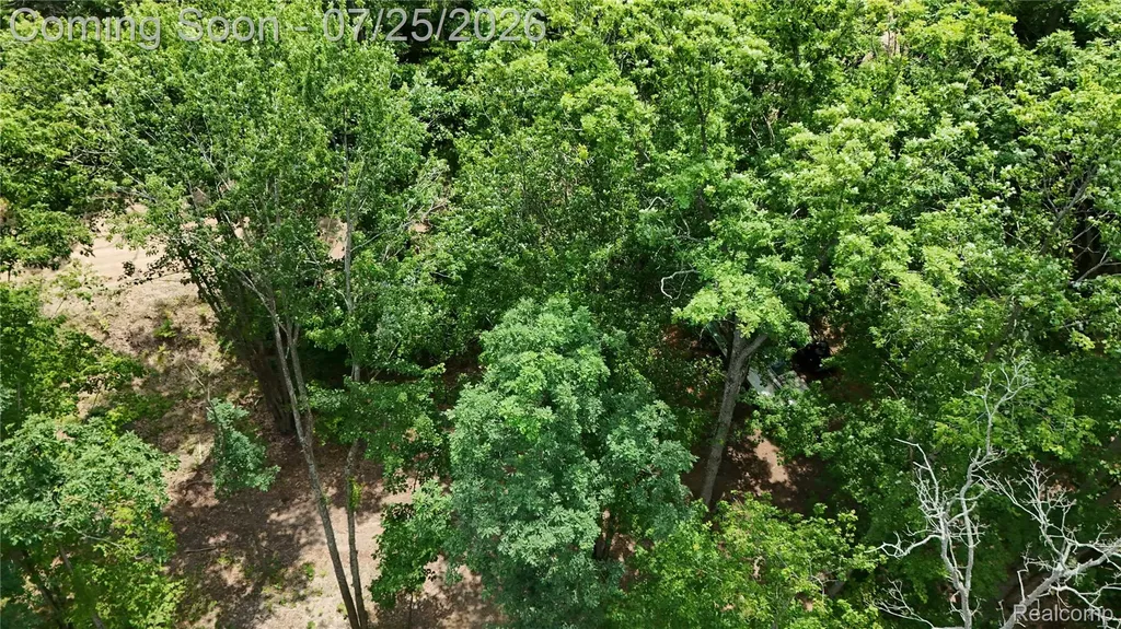 4522 Red Fox Run Lincoln Township MI 48622