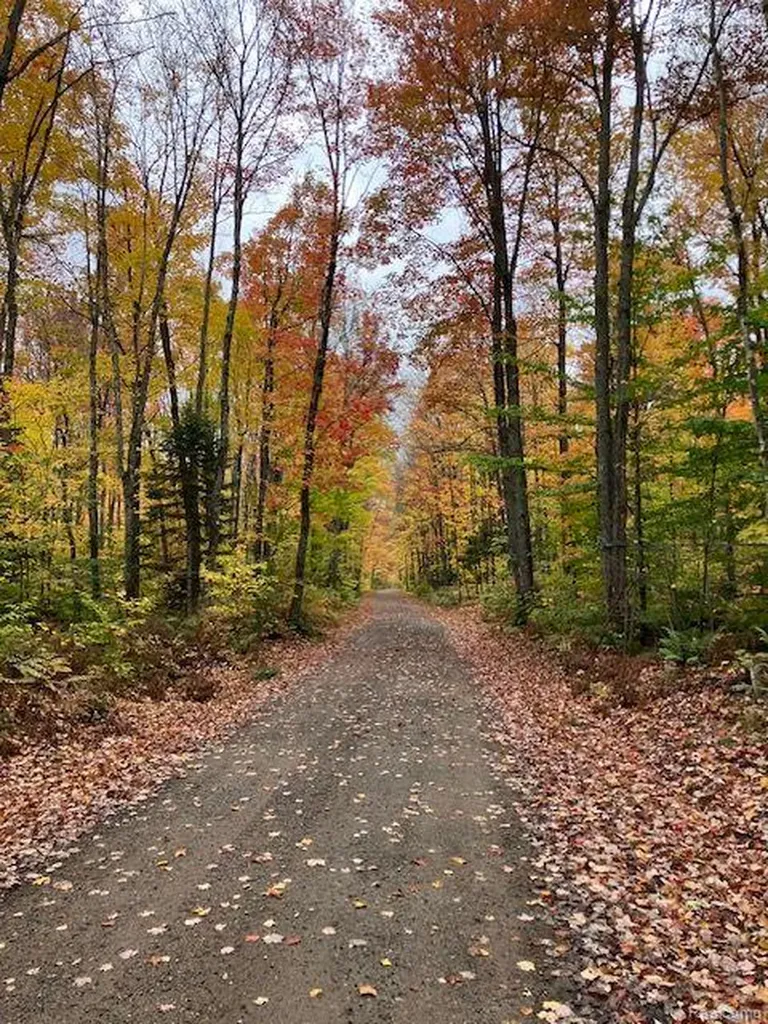 3395 Raspberry Lane Au Train Township MI 49862