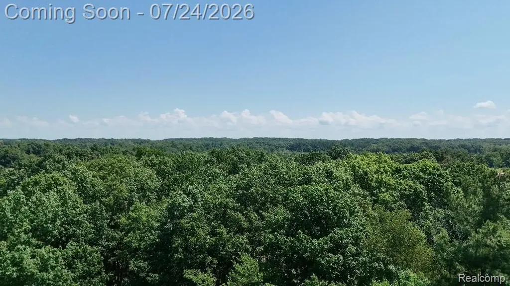 3226 Birch Run Road Millington Township MI 48746