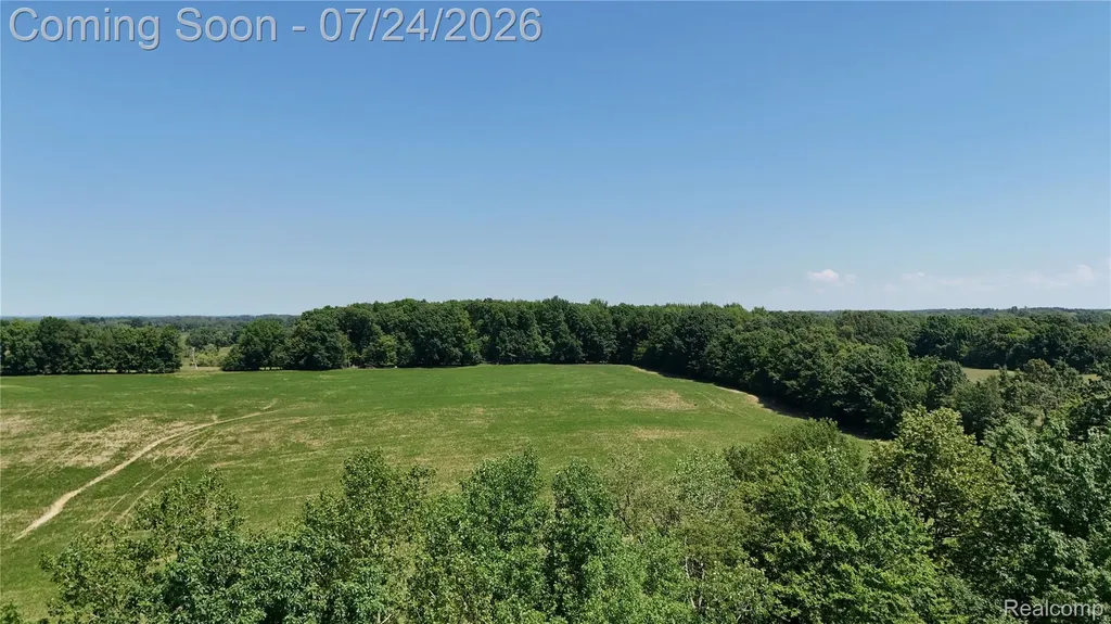 3226 Birch Run Road Millington Township MI 48746