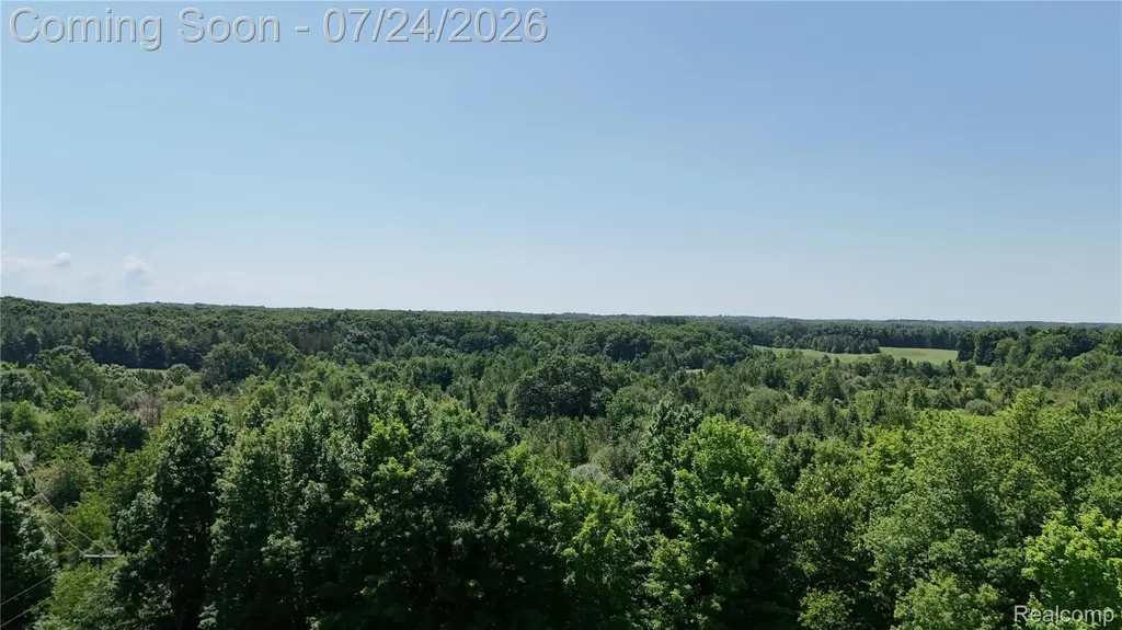 3226 Birch Run Road Millington Township MI 48746