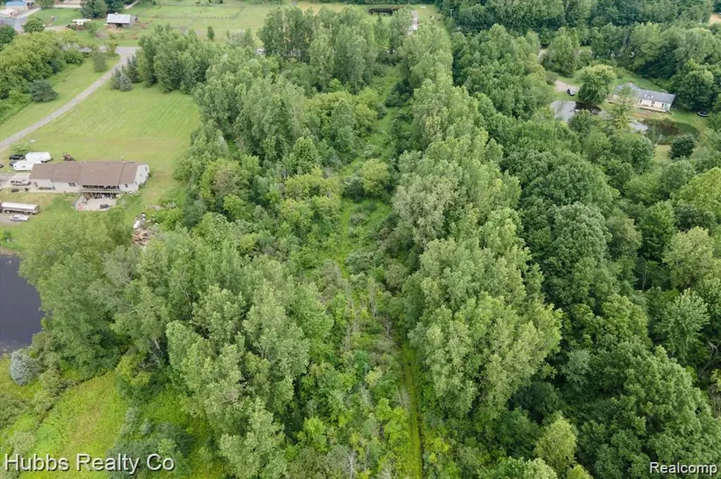 9265 Birch Run Road Arbela Township MI 48746