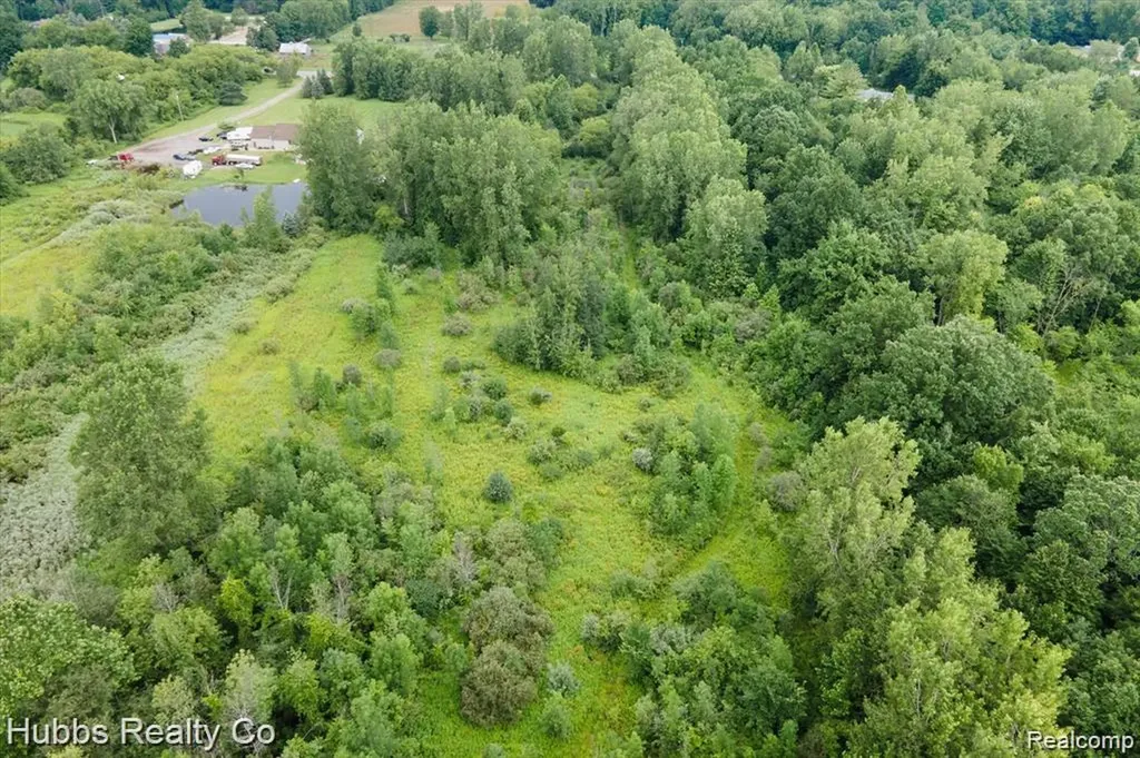 9265 Birch Run Road Arbela Township MI 48746