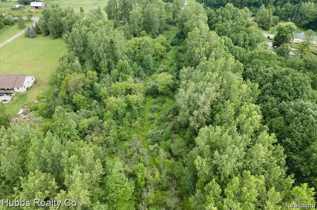 9265 Birch Run Road Arbela Township MI 48746