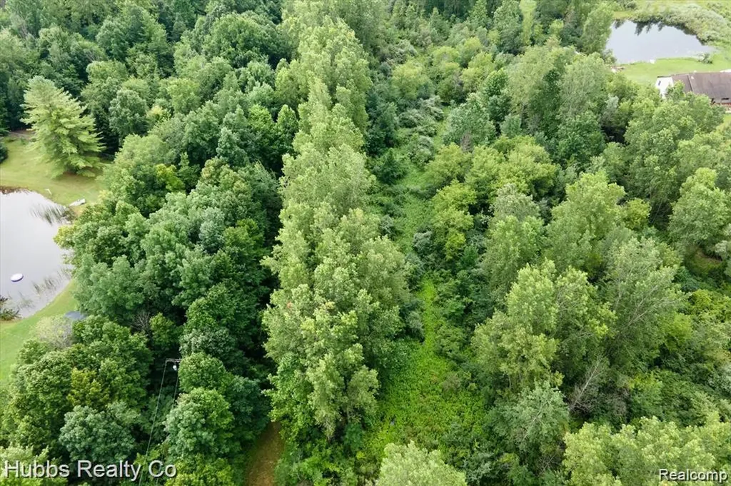 9265 Birch Run Road Arbela Township MI 48746