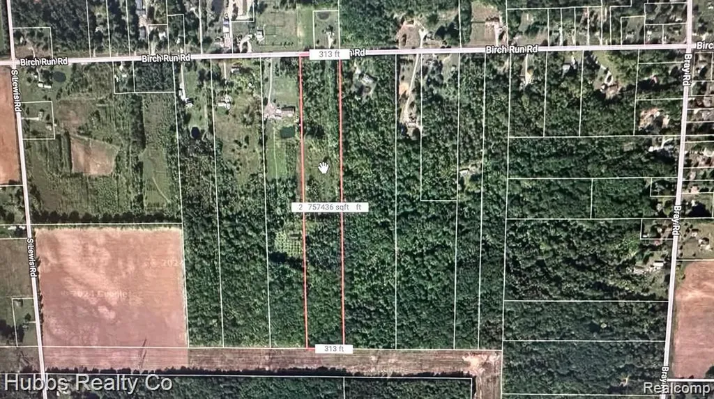 9265 Birch Run Road Arbela Township MI 48746