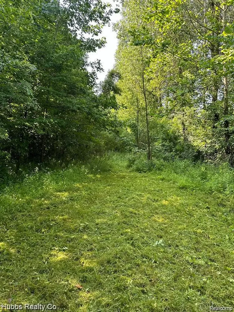 9265 Birch Run Road Arbela Township MI 48746