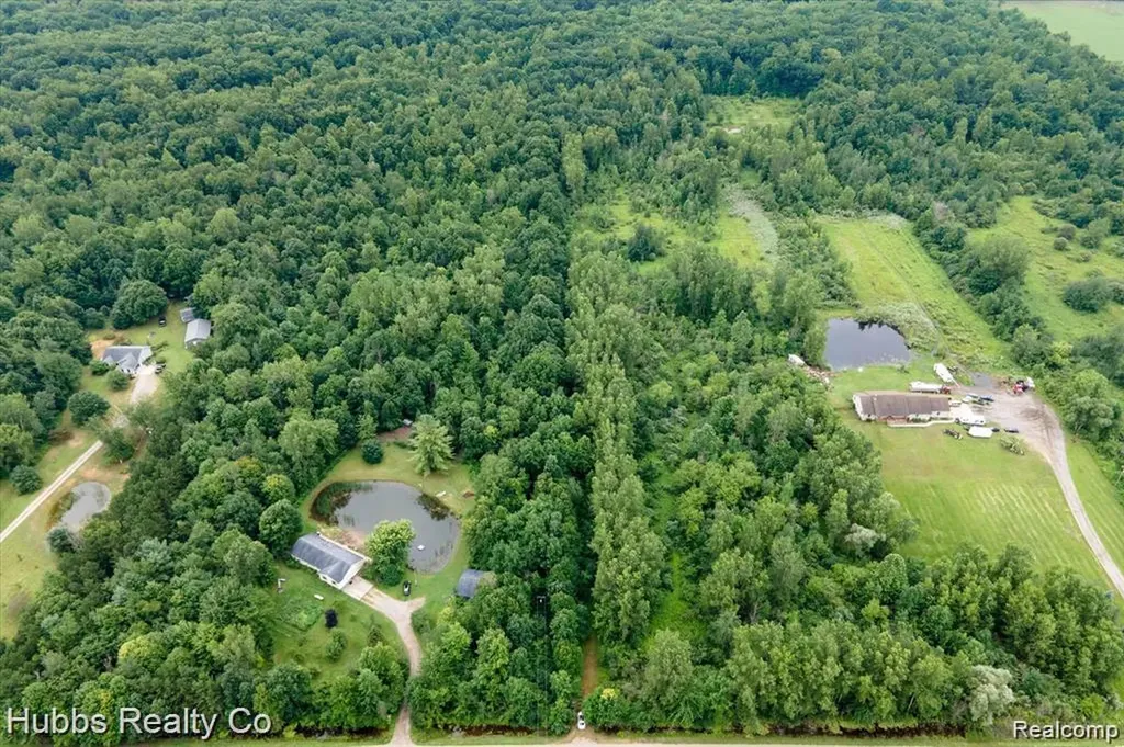 9265 Birch Run Road Arbela Township MI 48746