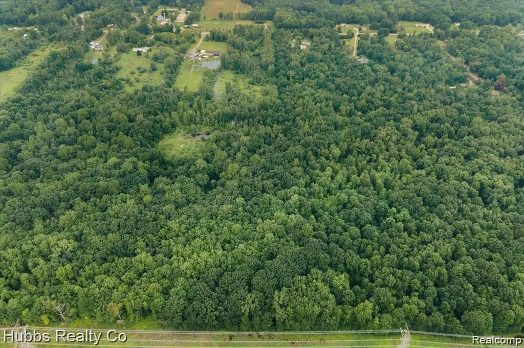 9265 Birch Run Road Arbela Township MI 48746