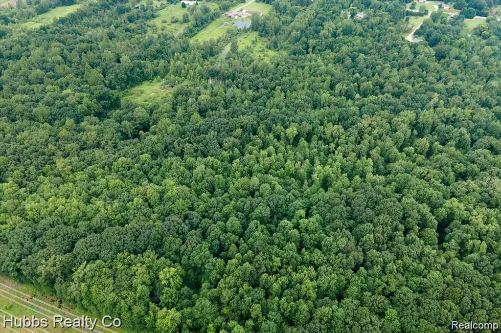 9265 Birch Run Road Arbela Township MI 48746