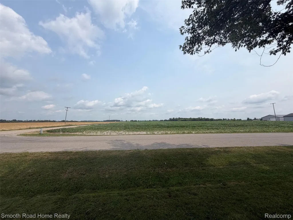 4724 N County Line Highway Ridgeway Township MI 49229